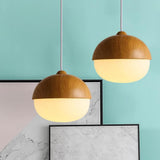Rustic Wood Pendant Light with Nut Shape