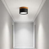 Macaron Cylinder Eye-protection Ceiling Downlight for Hallway