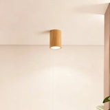 Wooden Down Light with Anti-Glare LED for Nordic Hallway