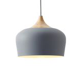 Vintage Holophane Pendant Light for Dining Room
