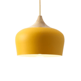 Vintage Holophane Pendant Light for Dining Room