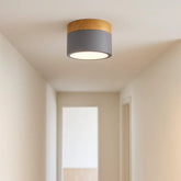 Macaron Cylinder Eye-protection Ceiling Downlight for Hallway