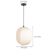 Pendant Light For Japanese Zen Hotel