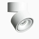 Modern LED Ceiling Spotlight Metal for Bedroom, Adjustable Angle
