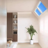 Modern Sky Ceiling Light Dimmable for Living Room