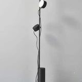 Dual-Head Adjustable Direction Black Plug-In Floor Lamp - Clowas