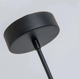 Black Curved Frame Modern Minimalist Pendant Light - Clowas