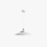 Simple Outdoor Waterproof Pendant Light for Balcony