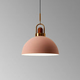 Nordic Single Macaron Wooden Ceiling LED Light
