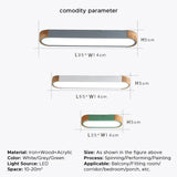 Elliptical Modern Hallway Flush Ceiling Lights - Clowas