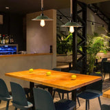 Rope Suspended Single Head Industrial Pendant Light - Clowas