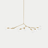 Bubble Branching Chandelier Mid Century Style Adjustable Glass for Living Room