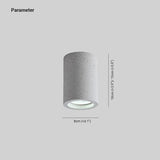 Cylindrical Living Room Modern Ceiling Downlight - Clowas