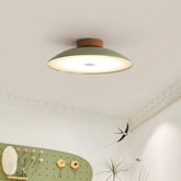 Cream Eye-Caring Flush Green Ceiling Light