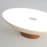Cream Eye-Caring Flush Green Ceiling Light