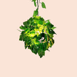 Green Plants Decorative Spherical Pendant Light - Clowas