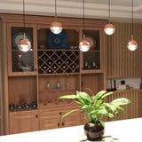 Orb Pendant Light Fixture with Minimalist Gold Design