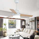 Black Modern Living Room Fan Light - Clowas