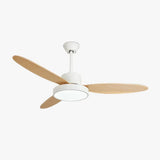 Oval Blade Modern Living Room Fan Light - Clowas