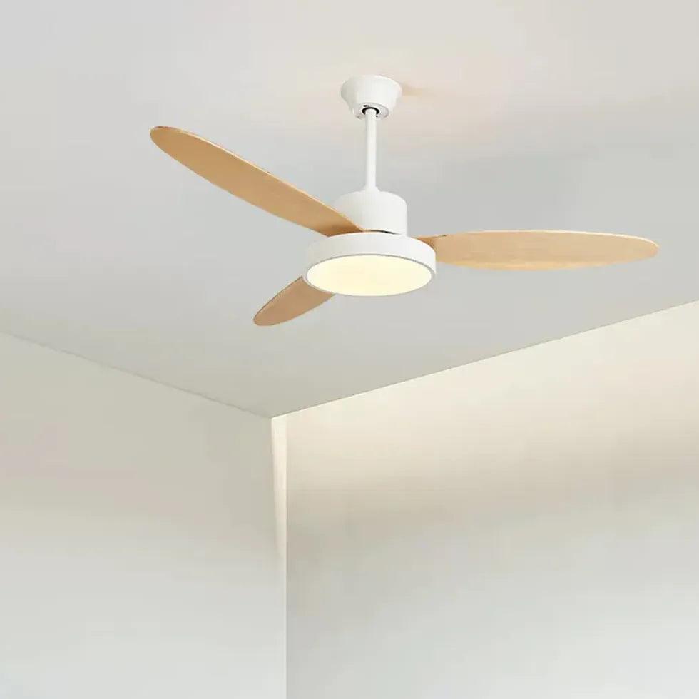 Oval Blade Modern Living Room Fan Light - Clowas