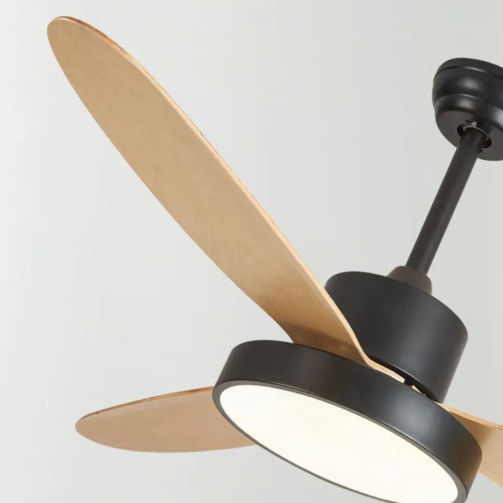 Oval Blade Modern Living Room Fan Light - Clowas