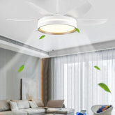 LED White Metal Modern Fan Light - Clowas