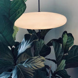 Lightweight Suspension Modern Dining Room Pendant Light - Clowas