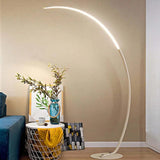 Linear Minimalist Curved Design Floor Lamp - Clowas