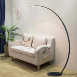 Linear Minimalist Curved Design Floor Lamp - Clowas