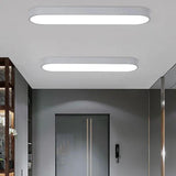 Minimalist Long Oval Led Lights Ceiling