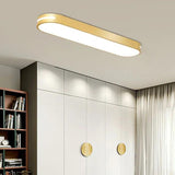 Minimalist Long Oval Led Lights Ceiling