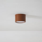 Nordic Cylindrical LED Eye Care Flush Ceiling Light