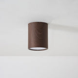 Nordic Cylindrical LED Eye Care Flush Ceiling Light