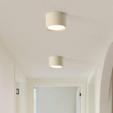 Nordic Cylindrical LED Eye Care Flush Ceiling Light