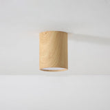 Nordic Cylindrical LED Eye Care Flush Ceiling Light