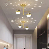 Starlight Corridor Modern Flush Ceiling Lights - Clowas