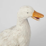 Animal Duck Goose Landscape Decoration Floor Lamp - Clowas