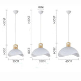Hemisphere Arc Modern Pendant Light - Clowas
