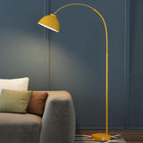 Arc Half-Dome Minimalist Plug-In Floor Lamp - Clowas