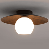 Minimalist Corridor Dark Wood Ceiling Light