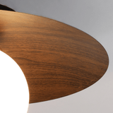 Minimalist Corridor Dark Wood Ceiling Light