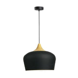 Vintage Holophane Pendant Light for Dining Room
