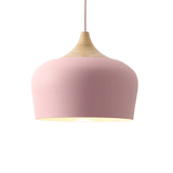 Vintage Holophane Pendant Light for Dining Room