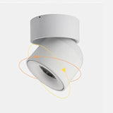 Cylindrical Adjustable Angle LED Flush Ceiling Lights - Clowas