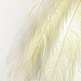 Feather Wall Light White Indoor - Clowas