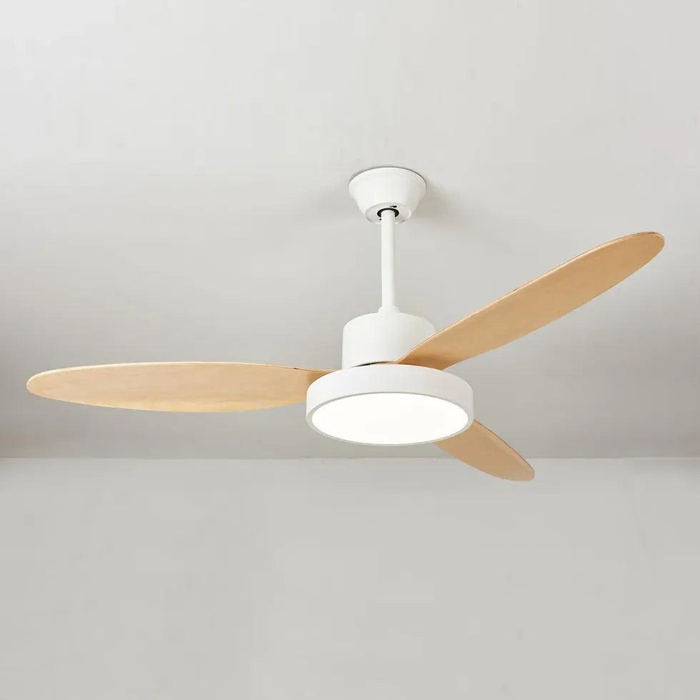 Oval Blade Modern Living Room Fan Light - Clowas