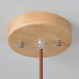 Single Head Oval Bedroom White Pendant Light - Clowas