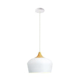 Vintage Holophane Pendant Light for Dining Room
