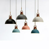 Nordic Single Macaron Wooden Ceiling LED Light
