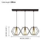LOFT Shaped Iron Industrial Lighting Pendants